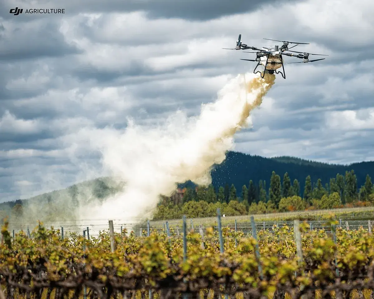 Análisis NDVI del cultivo con dron